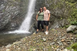 From Guayaquil: 2-Day Cloud Forest Lodging Experience