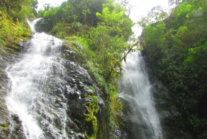 Från Guayaquil: Privat tur och lunch i molnskogen/vattenfallen