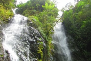 Fra Guayaquil: Skyskog/fossefall privat tur og lunsj