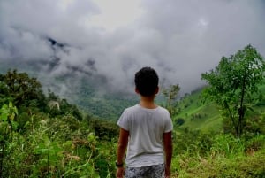 De Guayaquil: Excursão Privada Floresta Nublada/Cachoeiras e Almoço