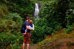 Da Guayaquil: tour privato e pranzo della foresta pluviale/cascate