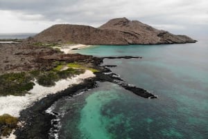 From Pto Ayora: Day tour to Floreana & Cormorant Point