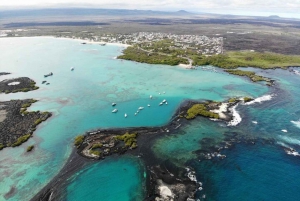 Fra Puerto Ayora: Dagstur til øya Isabela og holmen Tintorera