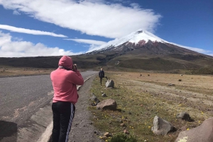 Fra Quito: 10-dagers høydepunkter i Ecuador privat tur