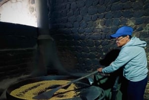 Från Quito: Mitad del Mundo, monument, solmuseet och krater