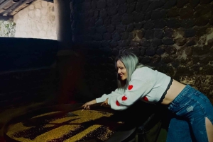 Från Quito: Mitad del Mundo, monument, solmuseet och krater