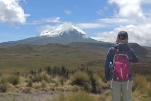 From Quito: Antisana and Condor Watching Guided Day Trip