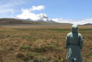 From Quito: Antisana and Condor Watching Guided Day Trip