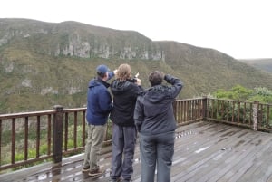 From Quito: Antisana and Condor Watching Guided Day Trip