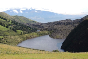 From Quito: Antisana and Condor Watching Guided Day Trip