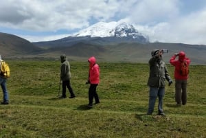 From Quito: Antisana Volcano Small Group Tour