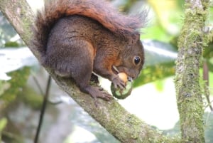 Depuis Quito : Excursion à Baños et en Haute Amazonie