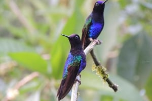 Depuis Quito : Excursion à Baños et en Haute Amazonie