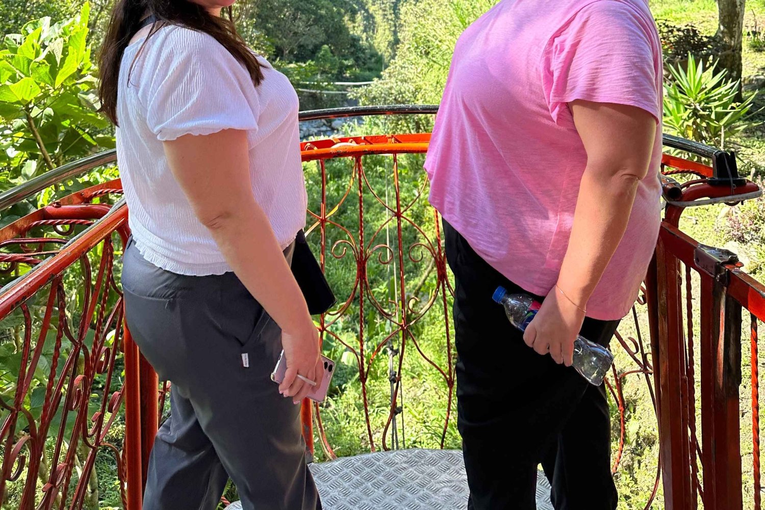 Fra Quito: Dagstur til Cotopaxi og Baños med frokost