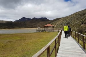 Fra Quito: Dagstur til Cotopaxi og Baños med frokost