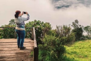 コトパクシとバニョスへのオールインクルーシブ・キト日帰りツアー