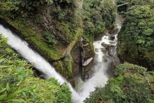 From Quito: Cotopaxi and Baños Tour in One Day-All Included