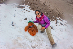 From Quito: Cotopaxi and Quilotoa 2-Day Trekking Tour