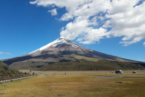 De Quito: Cotopaxi e Quilotoa Trekking Tour de 2 dias