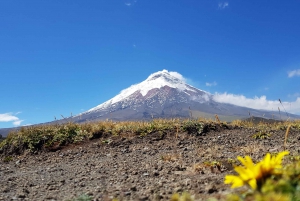 From Quito:Cotopaxi and Quilotoa Tour-Includes Lunch One Day