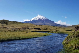 Von Quito: Cotopaxi und Quilotoa Tour - inklusive Mittagessen an einem Tag