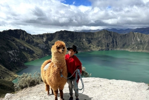 Da Quito:Tour del Cotopaxi e del Quilotoa - Pranzo incluso Un giorno