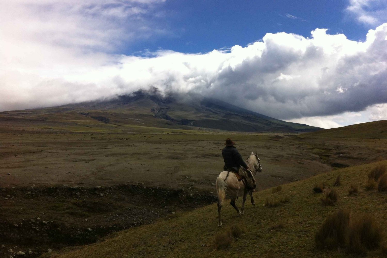 From Quito: Cotopaxi Hiking and Biking Tour