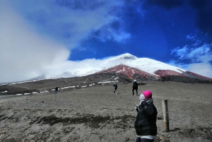 From Quito: Cotopaxi National Park and Lake Limpiopungo