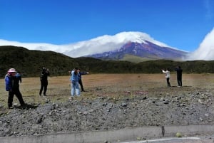 From Quito: Cotopaxi National Park and Lake Limpiopungo