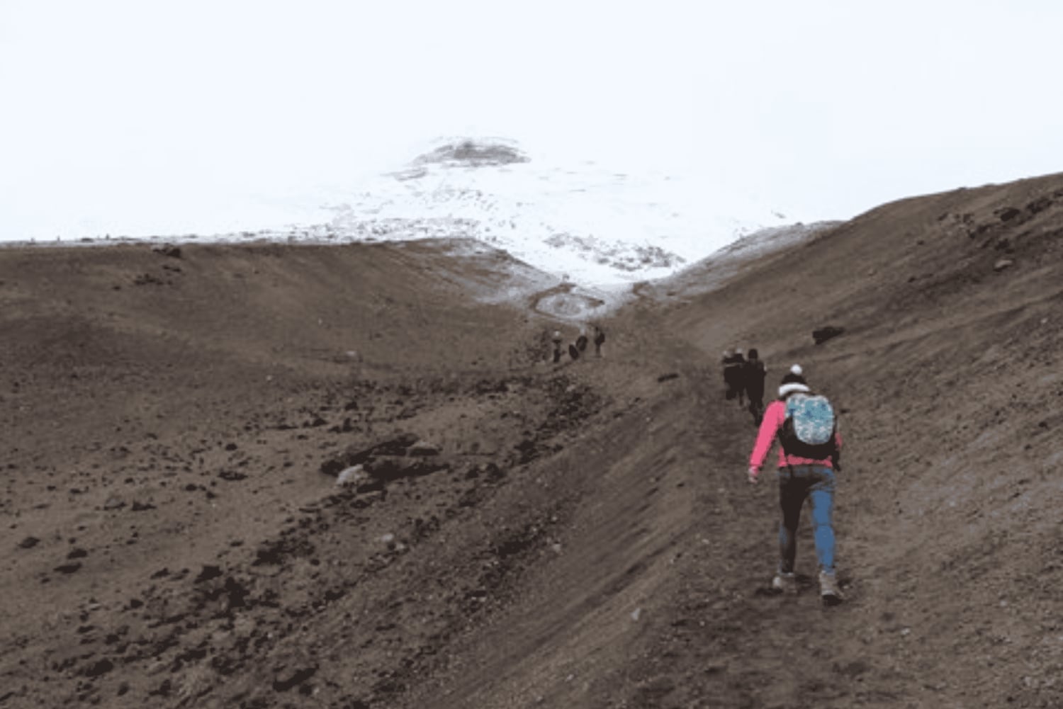 من كيتو جولة لمدة يوم كامل في متنزه كوتوباكسي الوطني