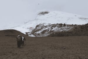 من كيتو جولة لمدة يوم كامل في متنزه كوتوباكسي الوطني