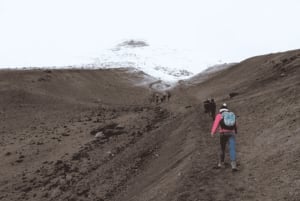 من كيتو جولة لمدة يوم كامل في متنزه كوتوباكسي الوطني