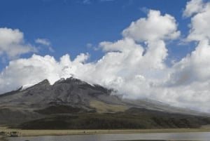 من كيتو جولة لمدة يوم كامل في متنزه كوتوباكسي الوطني
