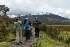 من كيتو جولة لمدة يوم كامل في متنزه كوتوباكسي الوطني
