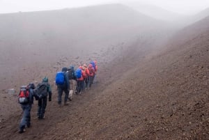 Fra Quito: Privat tur til Cotopaxi med vandretur og frokost