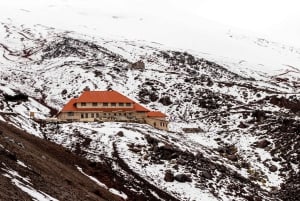 من كيتو: جولة خاصة في كوتوباكسي مع المشي لمسافات طويلة وتناول الغداء