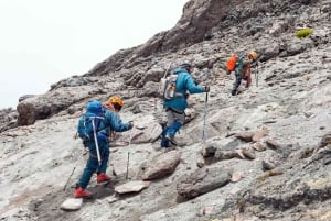 من كيتو: جولة خاصة في كوتوباكسي مع المشي لمسافات طويلة وتناول الغداء