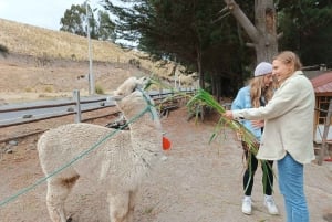 Quito - Cotopaxi - Quiltoa - Baños | 1 päivän retki