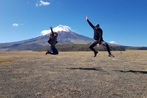 De Quito: Excursão ao Cotopaxi - inclui ingresso e almoço