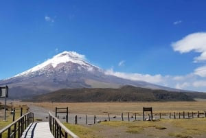 From Quito: Cotopaxi Tour - includes Ticket and Lunch