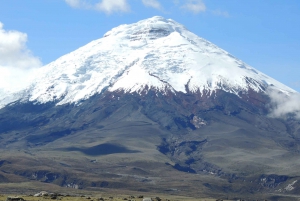 Desde Quito: Excursión de un día al Volcán Cotopaxi y a una Hacienda Colonial