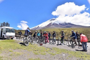 Quitosta: Cotopaxi-tulivuori ja Limpiopungon laguuni -kierros