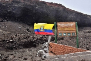 Fra Quito: Tur til vulkanen Cotopaxi og lagunen Limpiopungo