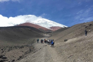 Fra Quito: Tur til vulkanen Cotopaxi og lagunen Limpiopungo