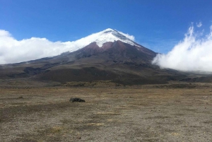 Da Quito: Tour del vulcano Cotopaxi e della laguna di Limpiopungo