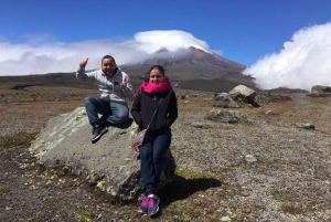 Fra Quito: Tur til vulkanen Cotopaxi og lagunen Limpiopungo