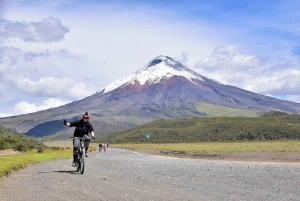 Da Quito: Tour del vulcano Cotopaxi e della laguna di Limpiopungo