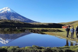 Fra Quito: Utflukt til vulkanen Cotopaxi og Limpiopungo-lagunen