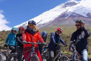 Fra Quito: Tur til vulkanen Cotopaxi og lagunen Limpiopungo