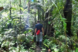 Fra Quito: Ecuador jungletur hele dagen - alt inkluderet